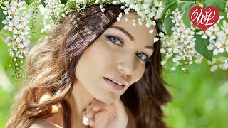 ЧЕРЕМУХА ♥ РУССКИЙ НАРОДНЫЙ ХИТ ♥ НАРОДНЫЕ ПЕСНИ ДЛЯ ДУШИ ♥ WLV ♥ RUSSIAN MUSIC