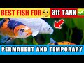 Best Fish For 3 Feet Aquarium