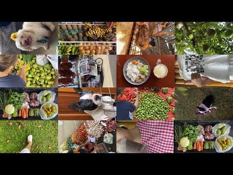 111225. a Wednesday with me. 6213