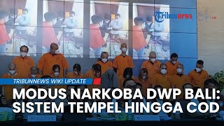 Terungkap! Modus Sindikat Peredaran Narkoba di DWP Bali Disebut Pakai Sistem Tempel hingga COD