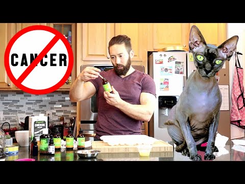 HOW TO CURE YOUR CAT FROM CANCER / Natural Pet Cancer Treatment
