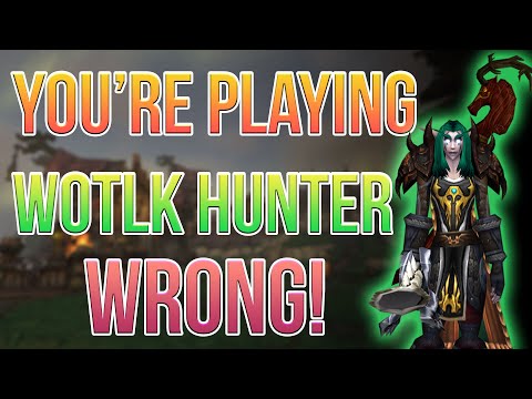 How To Play Hunter in WOTLK - Leveling, Dungeons, Raids, Playstyle Change!