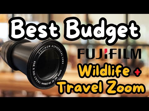 Video thumbnail for Video Review 2