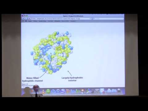 Kevin Ahern's Bite-Sized Biochemistry #5:  Protein Structure III