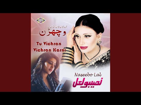 Tu Vichran Vichran Karni