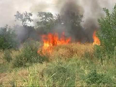 VIDEO- Incendiu langa parcul din centrul Comunei Smeeni - 5 august 2012