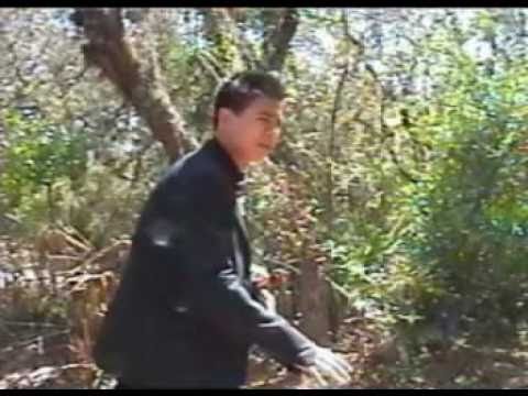 007: Nothing Lasts Forever