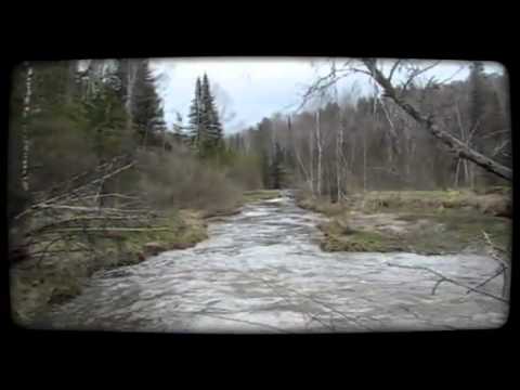 Смотреть видео Смотреть видео