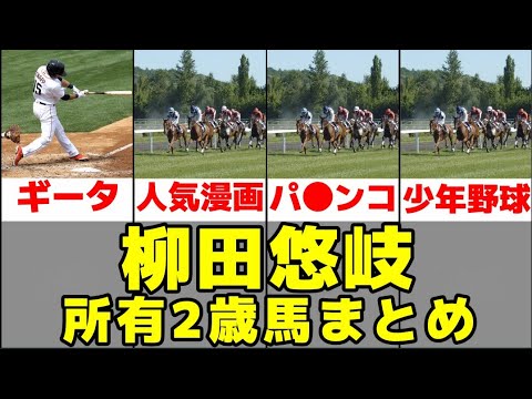 【大型新人馬主】柳田悠岐の所有馬3頭を紹介【ソフトバンクホークス】