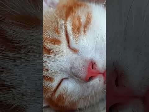 12 de septiembre de 2025