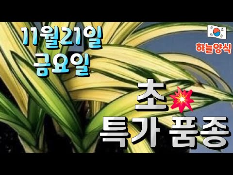 유튜브 썸네일