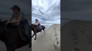 Download lagu Kuda berlari kencang #horses #kuda #laut #naikkudadilaut #shorts mp3