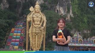 VIVU MALAYSIA VHUers nói gì?