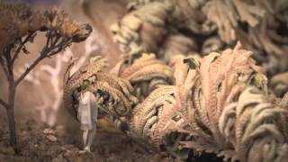 Kandle,   Baby, Guest vocals by Cœur de pirate, Official video