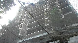 Mayfair Akshay Page 3