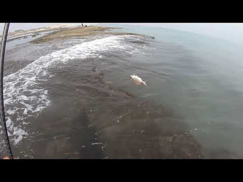 LRF - Duo Tetra Works Toto Shad 48HS Goldshrimp - Adana Karataş