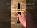 Pocket knife Coast FX411 #edc #knife #outdoors #everydaycarry #knives #knifelife #shorts