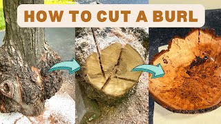 How to Properly Cut a Burl (Step-by-Step Instructions)