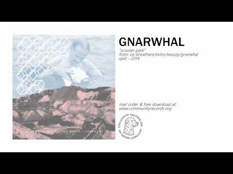 Gnarwhal - 