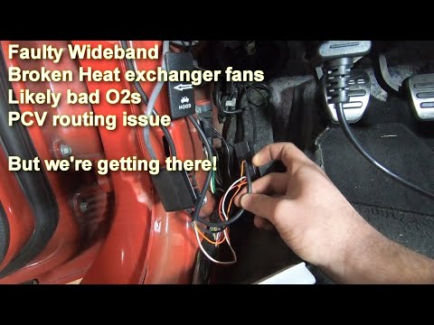 Aeroforce Wideband Setup Overview / AFCO Relay Fix / SCT x4 Analog input / Cammed GT500