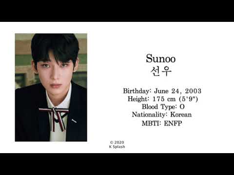 ENHYPEN (엔하이픈) Names Pronunciation and Profile