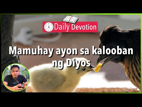 S2-Day 112: God is inviting us to live under His wings  - Matthew 22:1-14 (5 am Daily Devotion)