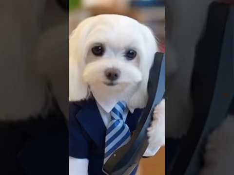 你累了嗎？翻轉人生