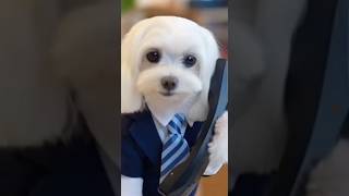你累了嗎？翻轉人生