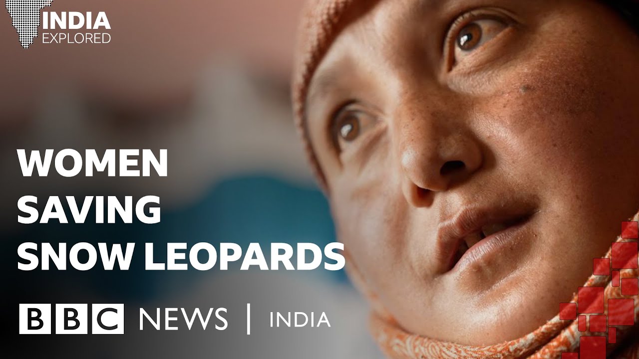 The Himalayan women tracking India’s snow leopards | BBC News India