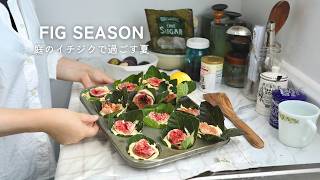 LAの夏の台所。庭のイチジクでケーキを焼く、家族が集まる数日|暮らしVLOG