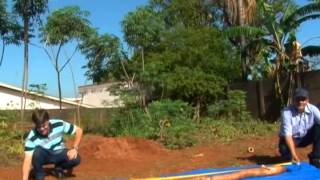 preview picture of video 'Produtor colhe mandioca gigante no fundo do quintal em Votuporanga'