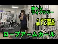 【1分で解る筋トレ解説】ロープアームカール※ケーブルマシン【筋トレライブラリー】