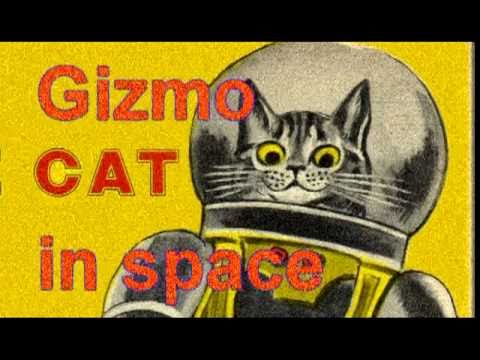 Gizmo kitten Cat in space the UFO Encounter - The Weightless Cat