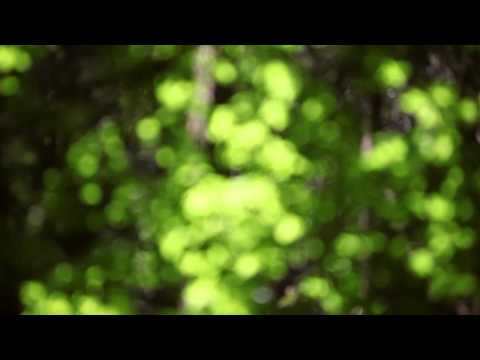 Hadisi Allahovog Poslanika s.a.w.s. - Najvrijedniji Zikr