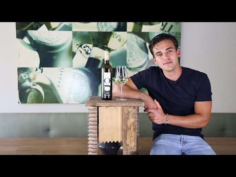 Wein erklärt: Pinot Grigio Garda DOC Griwaldi Venetien