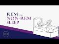 Understanding our sleep cycle: REM and non-REM sleep