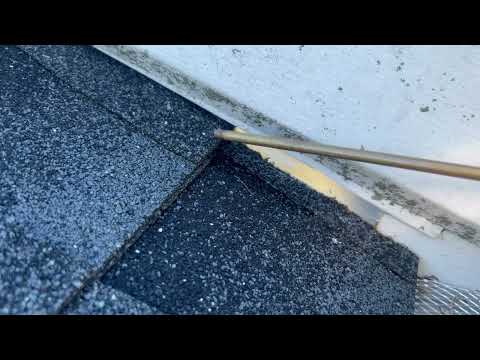 Yellow Jackets Nesting Under the Roof Shingles in Somerville, NJ