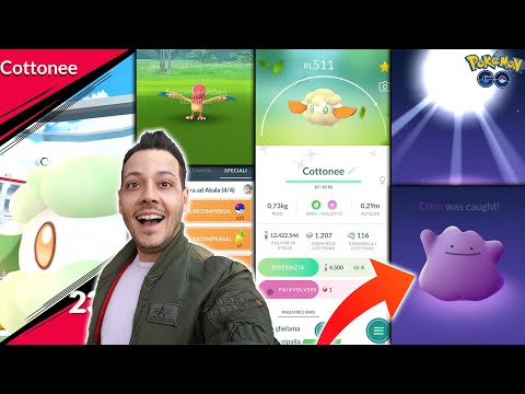 DOVE SI TROVA DITTO?! - Pokémon GO