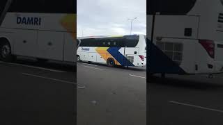 Download lagu Telolet Bus Damri 🎉 #telolet #bus #damri mp3 Download lagu Telolet Bus Damri 🎉 #telolet #bus #damri mp3