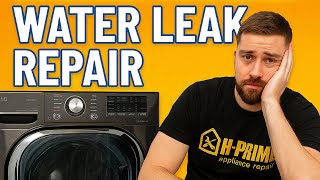 Washing Machine Leaking Water | Door Boot Seal Replacement (DIY or $$ Repair?)