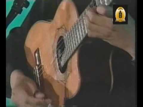 TRIGO NEGRO PALOMA MORENA