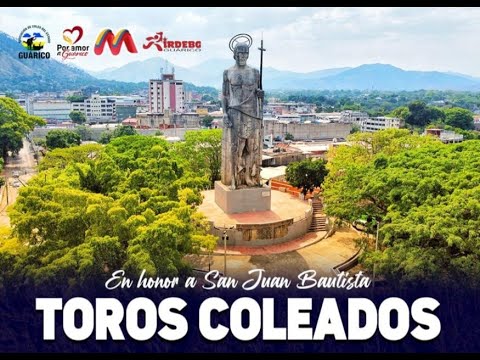 TOROS COLEADOS EN HONOR A SAN JUAN BAUTISTA (SAN JUAN DE LOS MORROS)