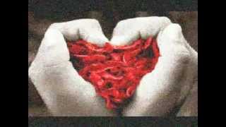 Daniel Marquezzini - Paixão