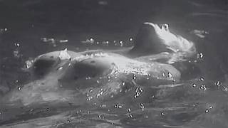 100 Rare Black & White Celebrity Photos That Will Leave You Speachless!