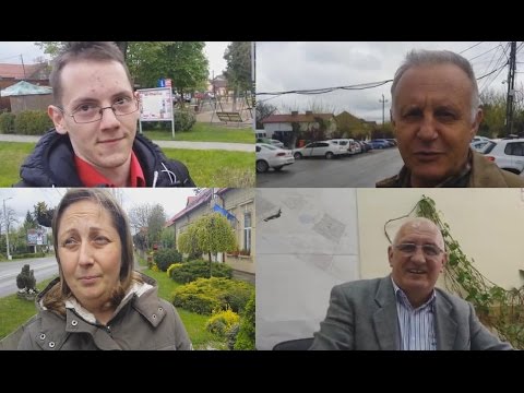 Dumbravita Timis - Parerile celor din comuna legate de cresterea animalelor in gospodarii