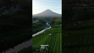 Download lagu pemandangan gunung tampomas #short #pemandanganalam #gunungtampomas #alamindahpedesaan mp3 Download lagu pemandangan gunung tampomas #short #pemandanganalam #gunungtampomas #alamindahpedesaan mp3