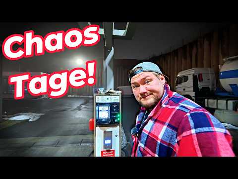 Immer wieder Chaos und Ich muss es retten!