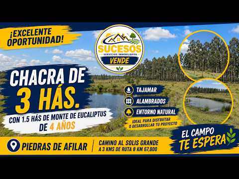 PIEDRAS DE AFILAR: CHACRA DE 3 hás con monte de eucaliptus de 4 años. A 3 km de Ruta 8 km 67800