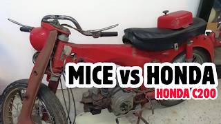 Rodents Tried to Kill This Honda C200…