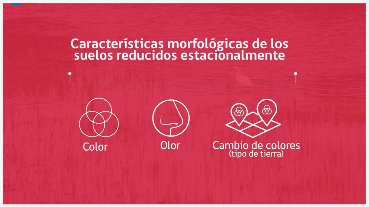 Módulo 4 Video1 - Introducción indicador suelos hídricos